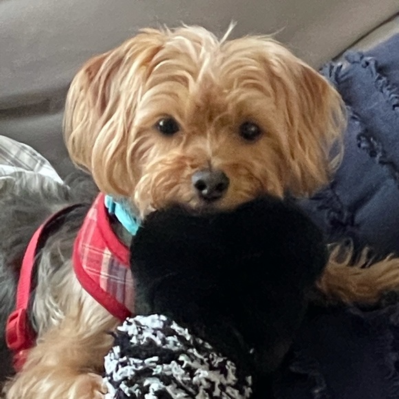 Meet your Posher, Jason - Picture 1 of 1